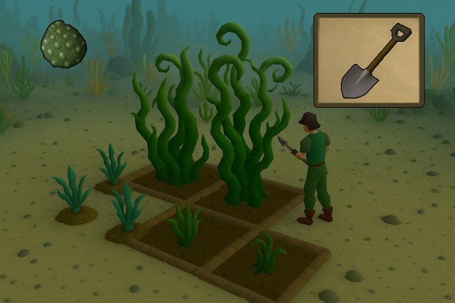 Seaweed Spore OSRS: How to Get, Grow, and Use Them Efficiently